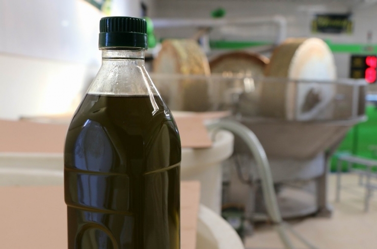 Zeytinyağında Yanlış Bilinen Doğrular