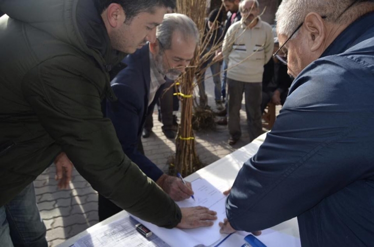 Bayırköy Belediyesi Tarafından Ücretsiz Hurma Dağıtıldı