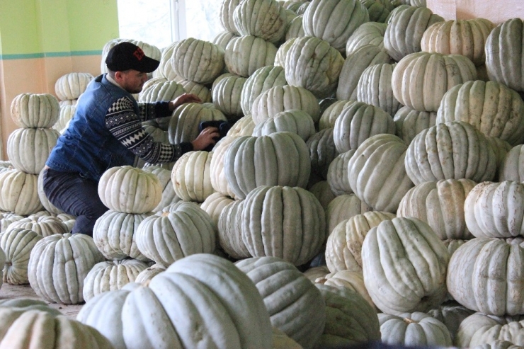 Yaşıtları İş Planları Yaparken O Kendi İşinin Patronu Oldu