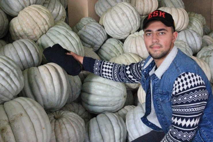 Yaşıtları İş Planları Yaparken O Kendi İşinin Patronu Oldu