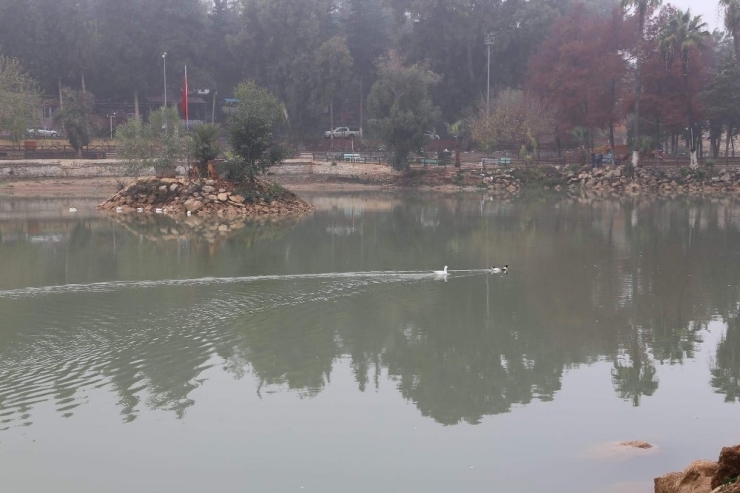 Reyhanlı Yenişehir Gölü’ne Yeniden Kavuştu