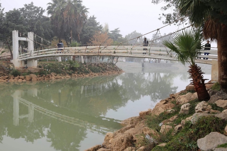 Reyhanlı Yenişehir Gölü’ne Yeniden Kavuştu