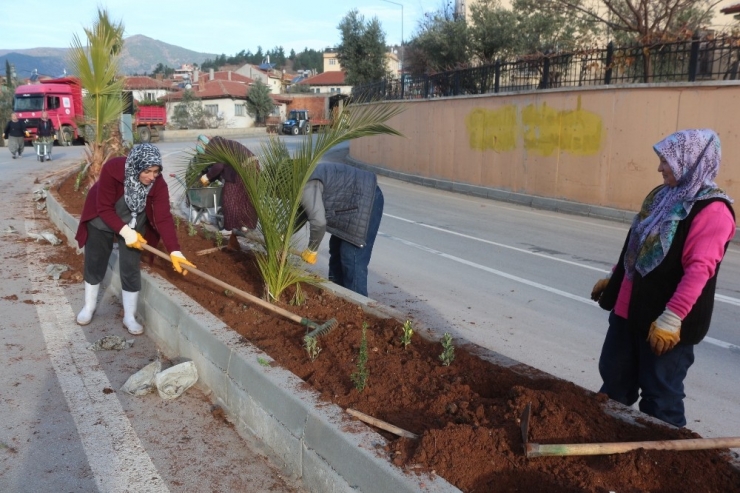 Kadınlar 3 Bin Fidan Dikti