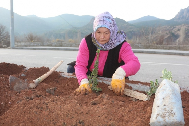 Kadınlar 3 Bin Fidan Dikti