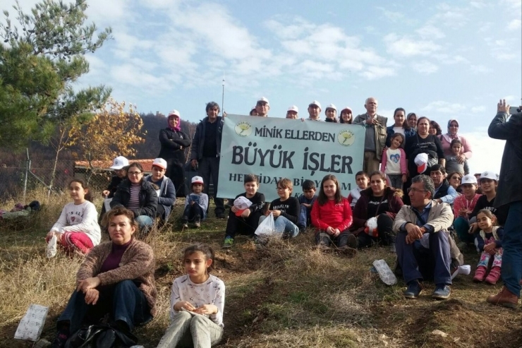 Yanan Alanlar Yeniden Ağaçlandırılıyor