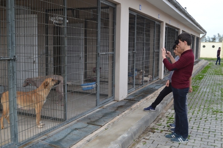 Ortaokul Öğrencileri Can Dostları Unutmadı