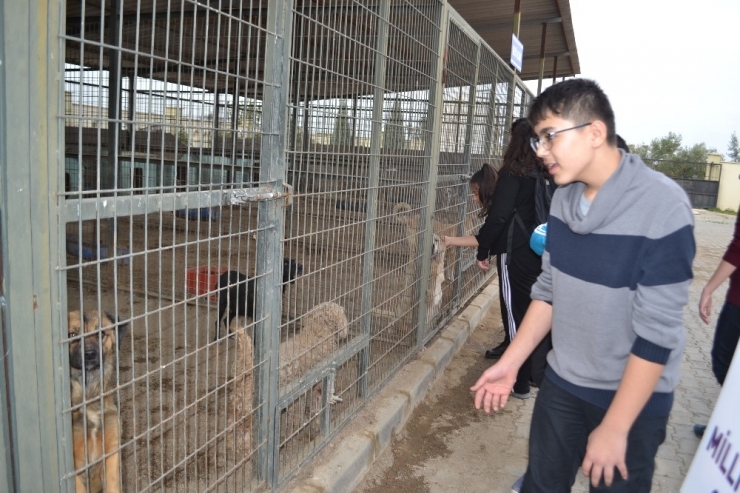 Ortaokul Öğrencileri Can Dostları Unutmadı