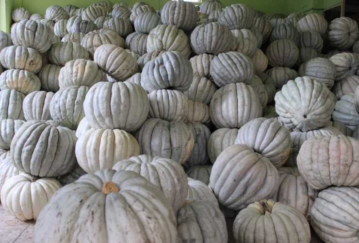 Yaşıtları İş Planları Yaparken O Kendi İşinin Patronu Oldu