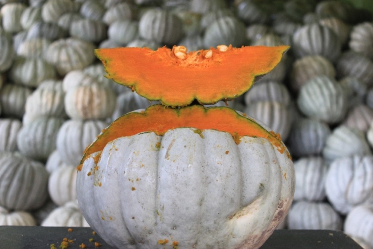 Yaşıtları İş Planları Yaparken O Kendi İşinin Patronu Oldu