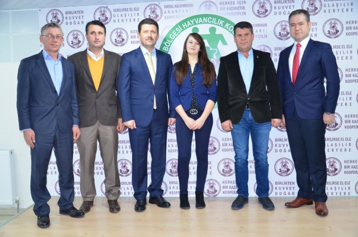 Haykoop, Avrupa Tarımı İle Entegre Oluyor