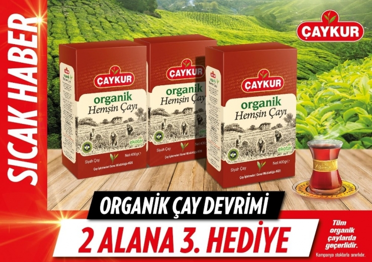Çaykur’dan Organik Çay Devrimi