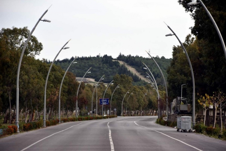 Aliağa’da Plajlar Bölgesine Ağaç Takviyesi