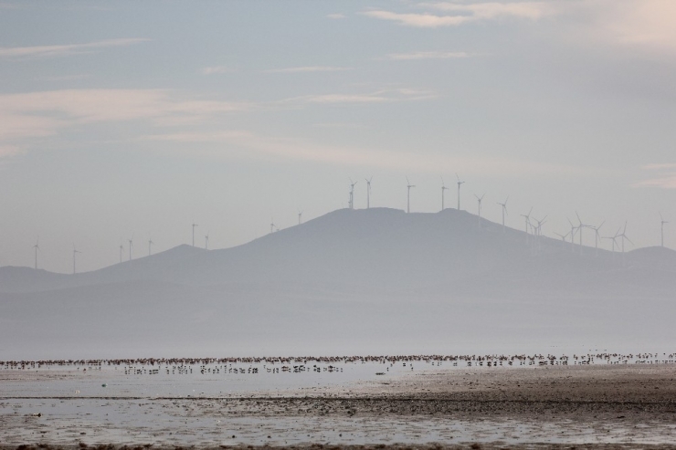 3 Günlük Yağış 3 Bin Kuşu Seyfe’ye Getirdi