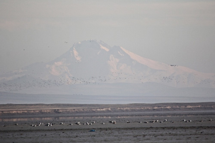 3 Günlük Yağış 3 Bin Kuşu Seyfe’ye Getirdi