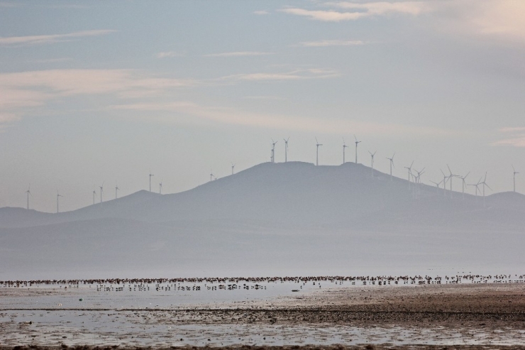 3 Günlük Yağış 3 Bin Kuşu Seyfe’ye Getirdi