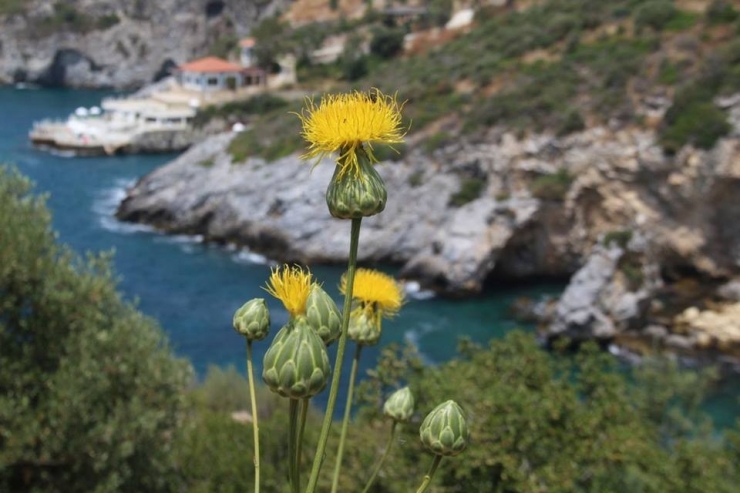 Kuşadası Tüllüşahı’nın Korunması İçin Çalıştay Düzenlendi