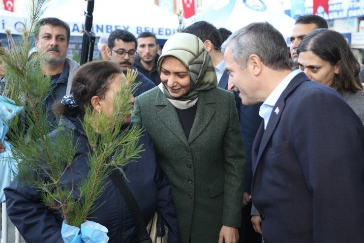 Şahinbey Belediyesi Fidan Dağıtımını Sürdürüyor