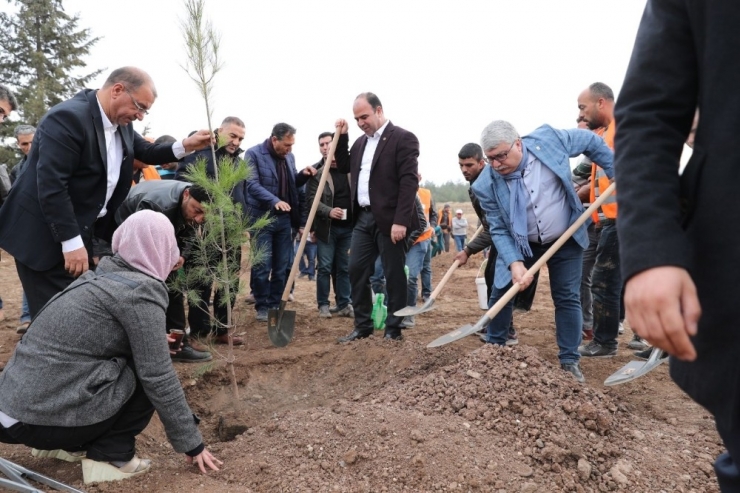 Şanlıurfa’da Yeşillendirme Çalışmaları Sürüyor