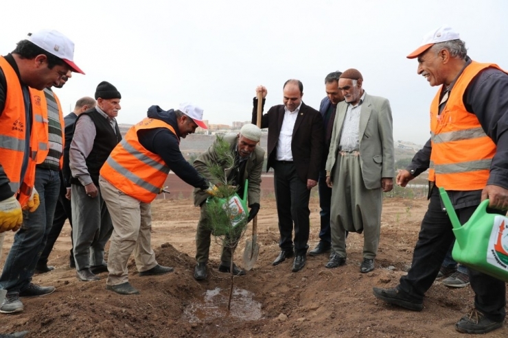 Şanlıurfa’da Yeşillendirme Çalışmaları Sürüyor