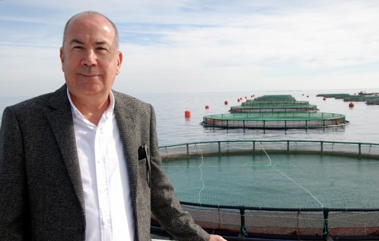 Mersin’de 60’ın Üzerinde Balık Çiftliği Kurulacak