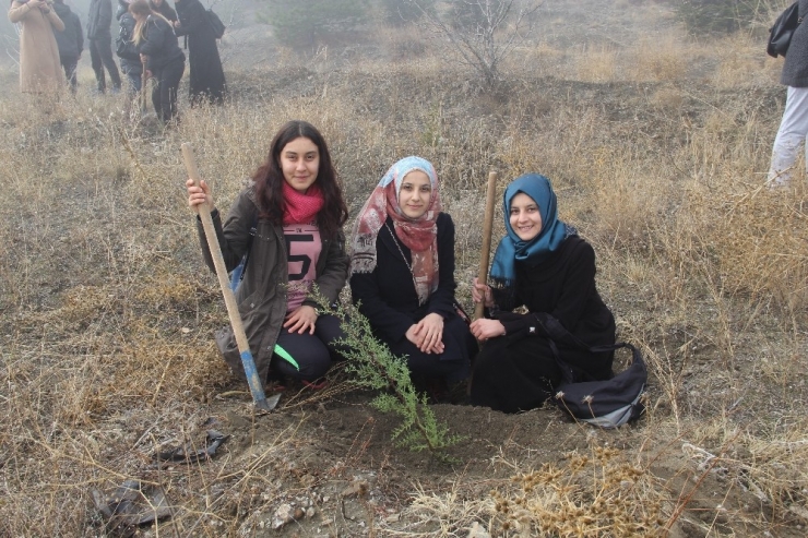 Kyk Ormanı Artık Daha Yeşil