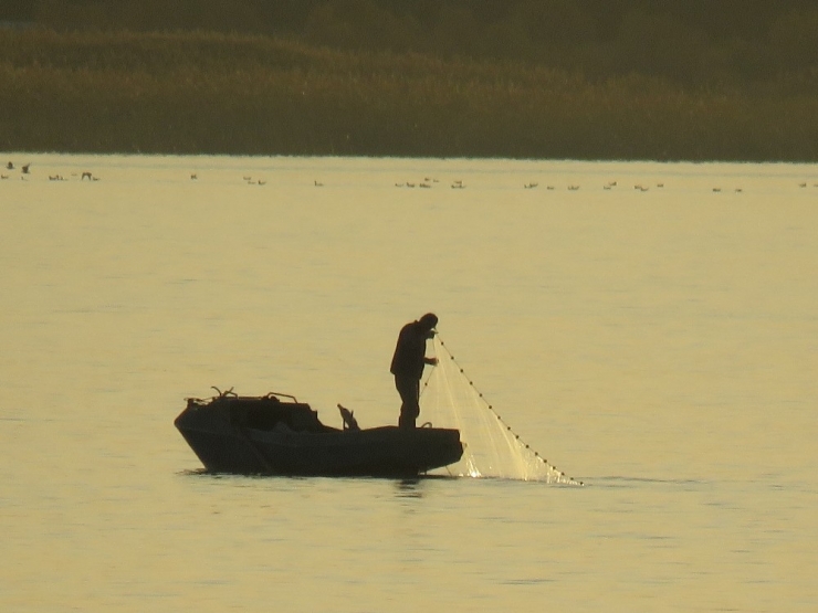 Beyşehir Gölü Önemli Doğa Alanındaki Balık Türlerinin Nesli Tehlikede
