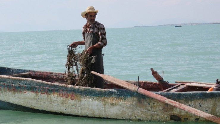 Beyşehir Gölü Önemli Doğa Alanındaki Balık Türlerinin Nesli Tehlikede