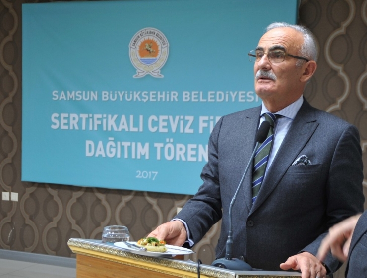 Büyükşehir Belediyesi 2 Bin Ceviz Fidanı Dağıttı