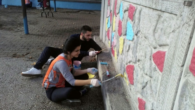 Düzce Üniversitesi Öğrencileri Okulların Duvarlarını Renklendiriyor