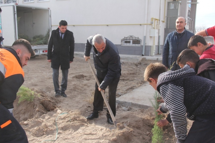 Başkan Karayol, Öğrencilerle Birlikte Ağaç Dikti