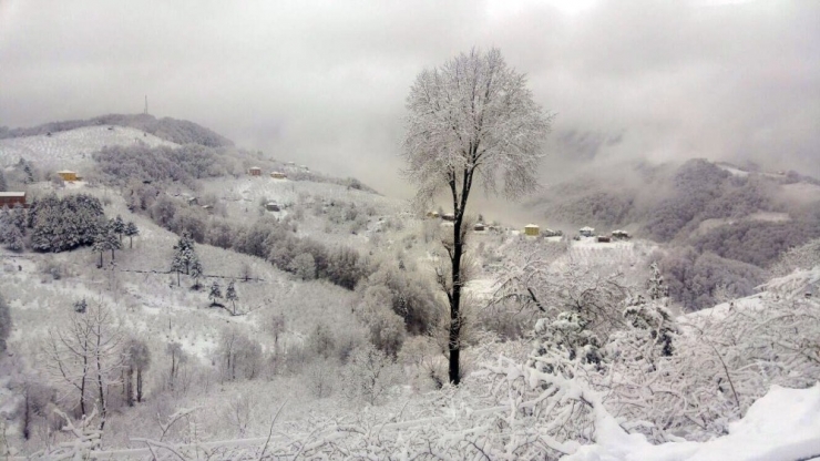 Gümeli Tepesi Beyaza Büründü