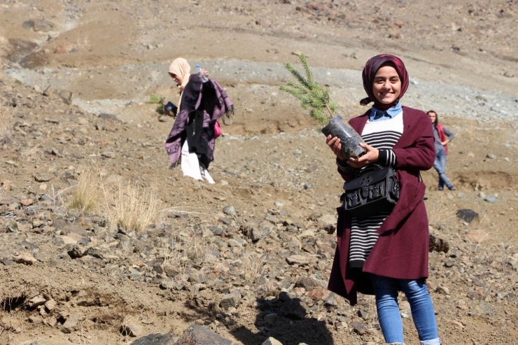 Erzincan’da Kyk’lı Gençler Gelecek İçin Fidan Dikti