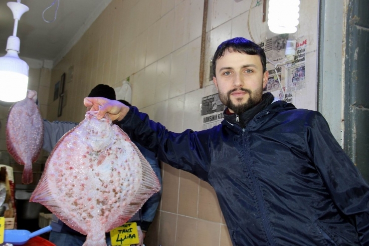 Balık Fiyatları El Yakıyor