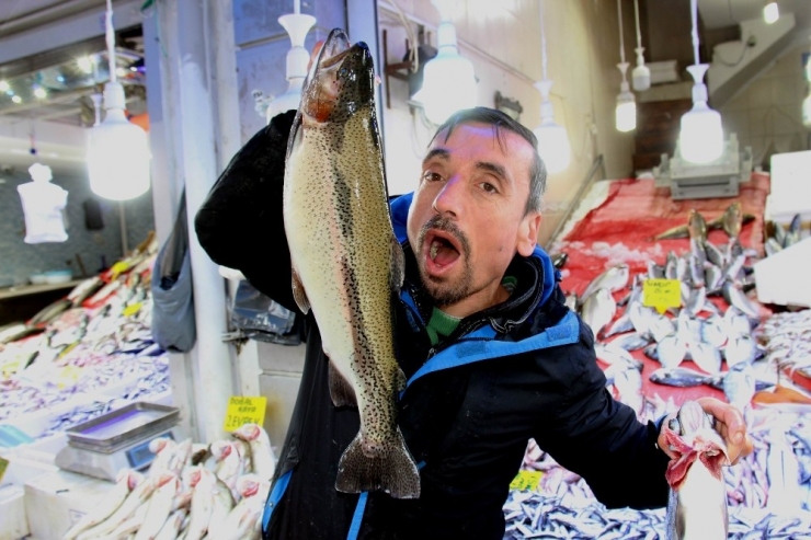 Balık Fiyatları El Yakıyor