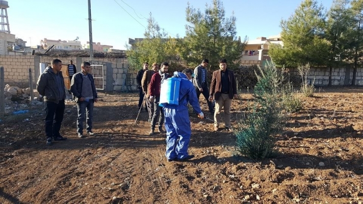 Midyat Ziraat Odası’ndan Çiftçilere Eğitim