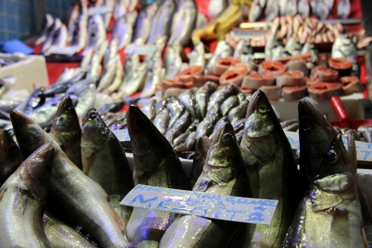 Balık Fiyatları El Yakıyor