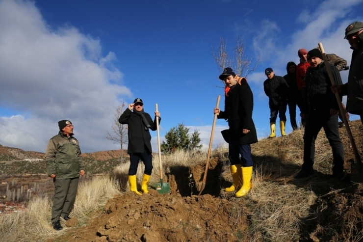 Gürleyik’teki Heyelan Bölgesine 3 Bin 200 Fidan Dikildi
