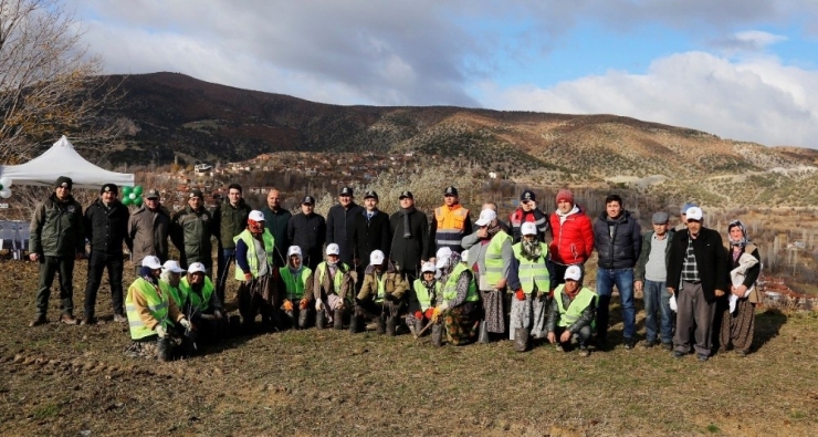 Gürleyik’teki Heyelan Bölgesine 3 Bin 200 Fidan Dikildi