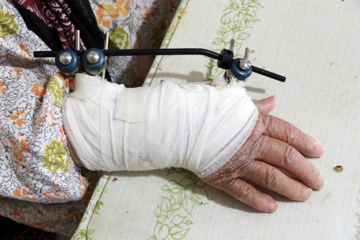 Yaşlı Kadın Son Günlerini Huzurevinde Geçirmek İstiyor