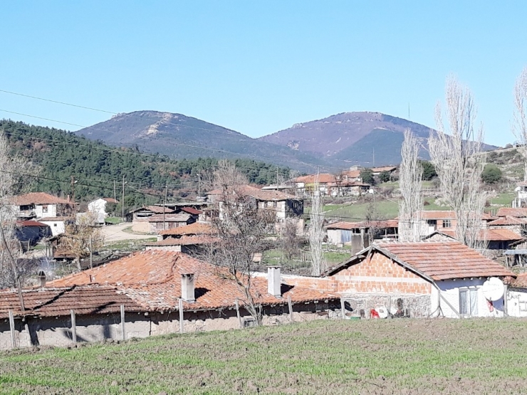 Çanakkale’de Çevre Eylemi