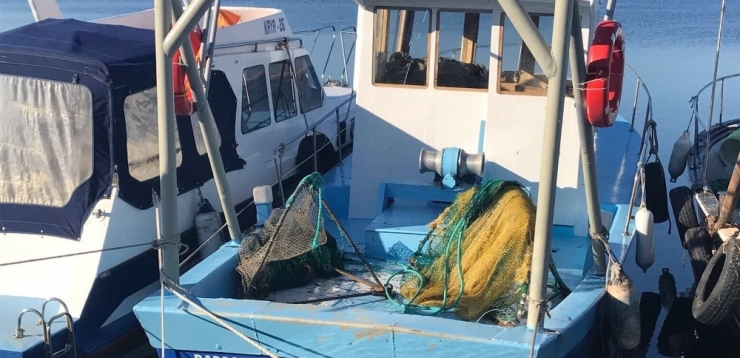 Ayvalık’ta Deniz Patlıcanı Avcılarına Taviz Yok