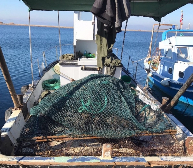 Ayvalık’ta Deniz Patlıcanı Avcılarına Taviz Yok