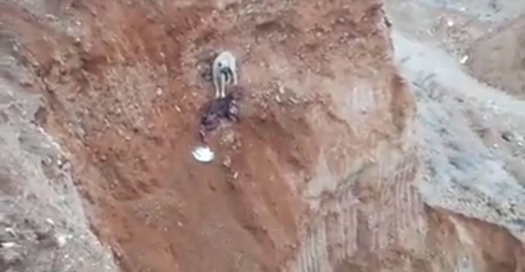 Maden İşçileri Çukurda Mahsur Kalan Köpeği Kurtardı