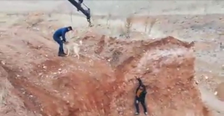 Maden İşçileri Çukurda Mahsur Kalan Köpeği Kurtardı