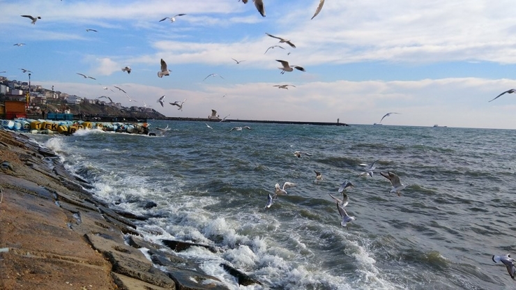 Marmara’da Denizi’nde Lodos