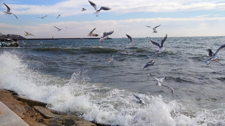 Marmara’da Denizi’nde Lodos