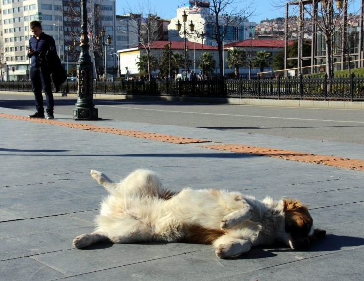 Samsun’da Yazdan Kalma Bir Gün