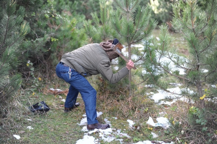 Uludağ’da Yılbaşı Öncesi Fidan Nöbeti
