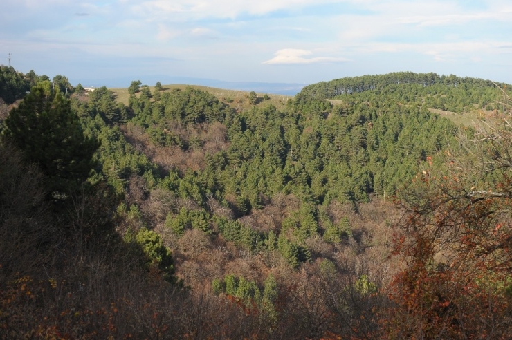 Uludağ’da Yılbaşı Öncesi Fidan Nöbeti