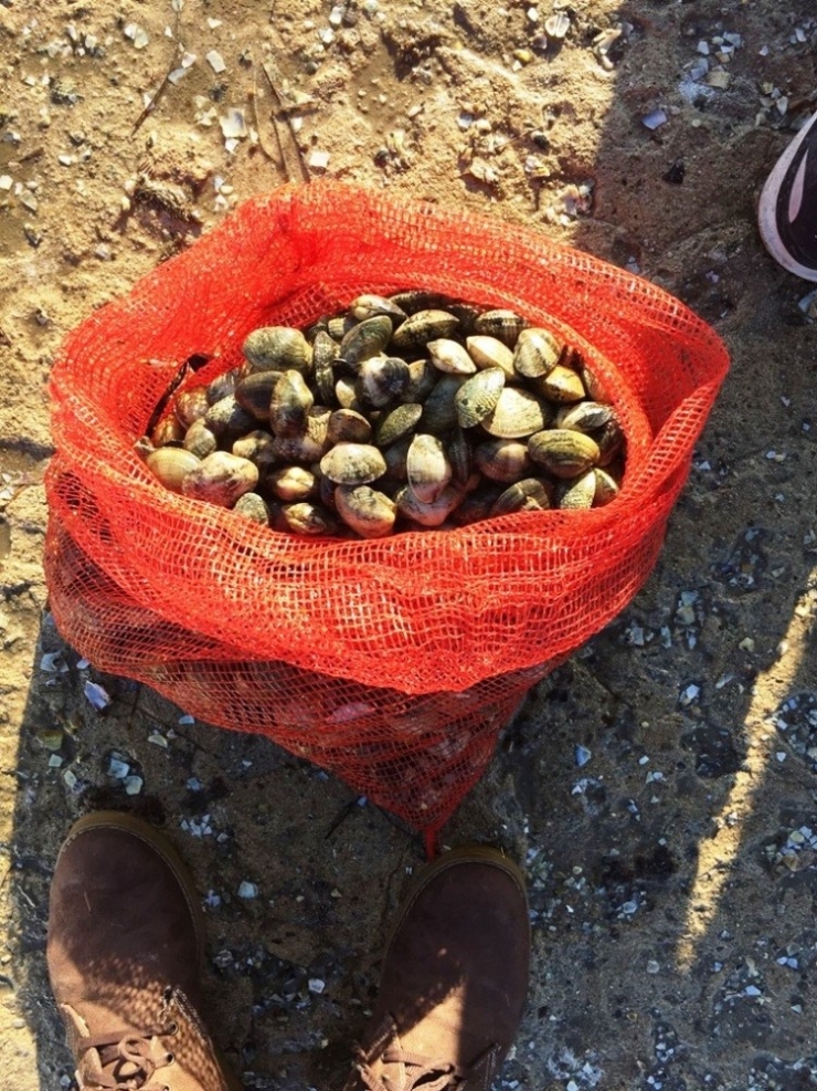 Ayvalık’ta Kaçak Kum Midyesi Avcılarına Göz Açtırılmıyor